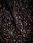 Крупным планом на фоне кофейных зерен — стоковое фото