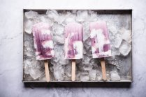 Vegan blueberry yoghurt and coconut milk ice lollies — Stock Photo