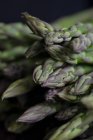 Green asparagus dark background — Stock Photo