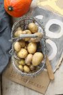 Pommes de terre fraîchement récoltées dans un panier métallique — Photo de stock