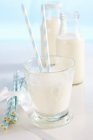 Latte fresco freddo in vetro e in bottiglia — Foto stock