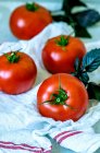 Tomates maduros frescos e manjericão roxo em uma toalha — Fotografia de Stock