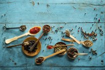 Una disposizione di vari tipi di peperoni in ciotole e su cucchiai — Foto stock