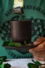 Tea bag and mint — Stock Photo