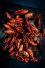 Primer plano de delicioso cangrejo hervido - foto de stock