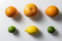 Verschiedene Zitrusfrüchte auf einer weißen Oberfläche — Stockfoto