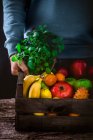 Фермер держит собранные фрукты и овощи — стоковое фото