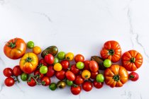Tomates frescos y maduros sobre fondo blanco - foto de stock