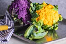A yellow and a purple cauliflower — Stock Photo