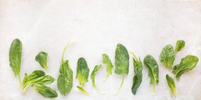 Крупный план вкусного свежего шпината — стоковое фото