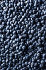 Close-up shot of delicious Fresh Blueberries — Stock Photo