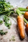 Fresh carrots bunched with rustic string — Stock Photo