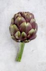 Purple artichoke close-up view — Stock Photo
