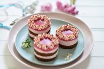 Vegane rosa Drachenfrucht-Frischkäsetorten mit Schokokeksesoßen und Fruchtspiegelglasuren — Stockfoto