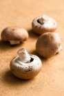 Close-up shot of delicious Portobello mushroom — Stock Photo