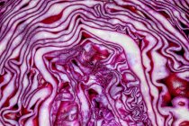 Red cabbage half, close up shot — Stock Photo