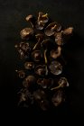 Крупним планом знімок смачних диких грибів — стокове фото