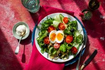 Espaguete com pepino fresco, tomates e azeitonas — Fotografia de Stock