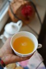 Gros plan de délicieuse tasse de thé dans les mains — Photo de stock