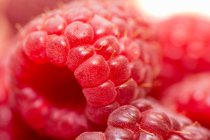 Close up of fresh juicy blackberries — Stock Photo