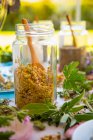 Spezie secche fatte in casa ed erbe aromatiche in vaso e foglie verdi in tavola — Foto stock