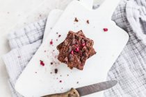 Morsures de brownie au chocolat et framboises séchées — Photo de stock