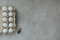 Eggs in paper container and brown feather — Stock Photo
