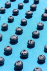 Blueberries in diagonal rows laid out on a blue background — Stock Photo