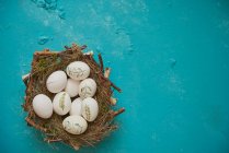 Œufs de Pâques peints dans le nid de Pâques — Photo de stock