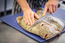 A filleted turbot close-up view — Stock Photo