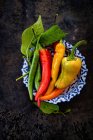 Fresh chilli peppers (green, yellow, red) with leaves — Stock Photo