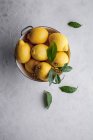 Nahaufnahme von köstlichen Zitronen in einer Schüssel — Stockfoto