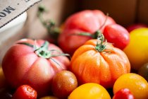 Various types of fresh tomatoes, close up shot — Stock Photo