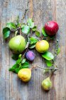 Diferentes tipos de frutas do pomar em fundo de madeira — Fotografia de Stock
