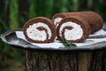Vegan chocolate Swiss roll with stracciatella cream — Stock Photo