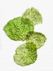 Due foglie di cavolo fresco sabaudo sul bianco — Foto stock