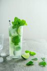 Mojito-Cocktail mit Limette, braunem Zucker und Minze — Stockfoto
