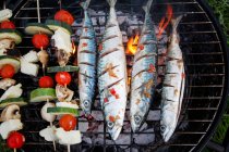 Sgombro fresco e spiedini di verdure sul barbecue — Foto stock