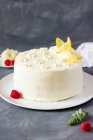 Raspberry and rhubarb cake with lemon cream — Stock Photo