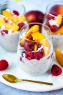 Coconut milk chia pudding with nectarines and raspberries — Stock Photo