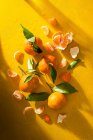 Крупный план вкусных мандаринов с листьями — стоковое фото