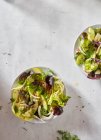 Primo piano di deliziosa insalata di finocchio con Apple — Foto stock
