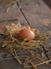 Nahaufnahme von rohem Ei auf Stroh — Stockfoto