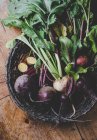Young beetroot with leaves in a basket — Stock Photo
