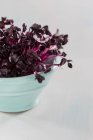 Violette und weiße Bohnen auf einem hölzernen Hintergrund — Stockfoto