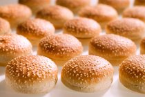 Hamburger buns with sesame seeds — Stock Photo