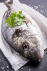 Fish with herbs and sea salt on baking paper — Stock Photo