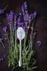 Eingravierte Silberlöffel auf Lavendelzweigen — Stockfoto