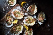Colchester Native oysters with lemon, parsley, ice, lemon and a shallot vinegarette — Stock Photo