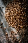 Крупним планом знімок кавових зерен на сонячному світлі — стокове фото